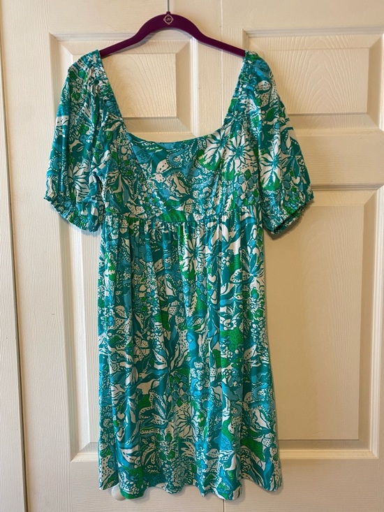 Lilly Pulitzer Dresses & Skirts - Lilly Pulitzer Delaney Dress